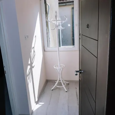 The * تيميشورا