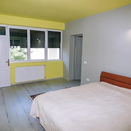Apartment The Timisoara