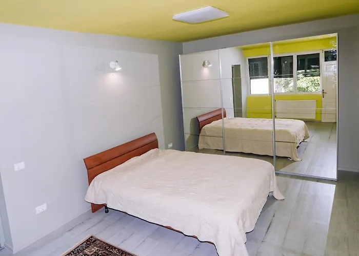 Apartment The Timisoara