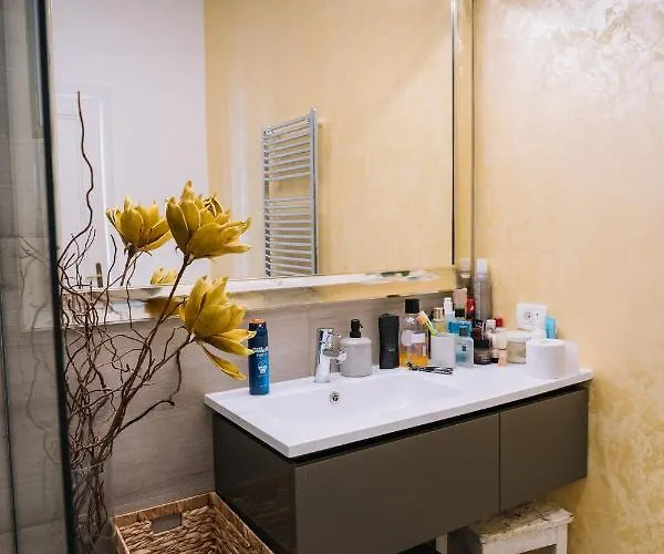 和美公寓 * 蒂米什瓦拉