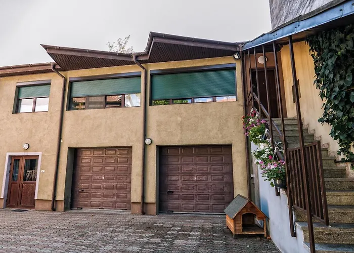 和美公寓 蒂米什瓦拉