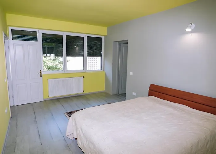 Apartment The Timisoara